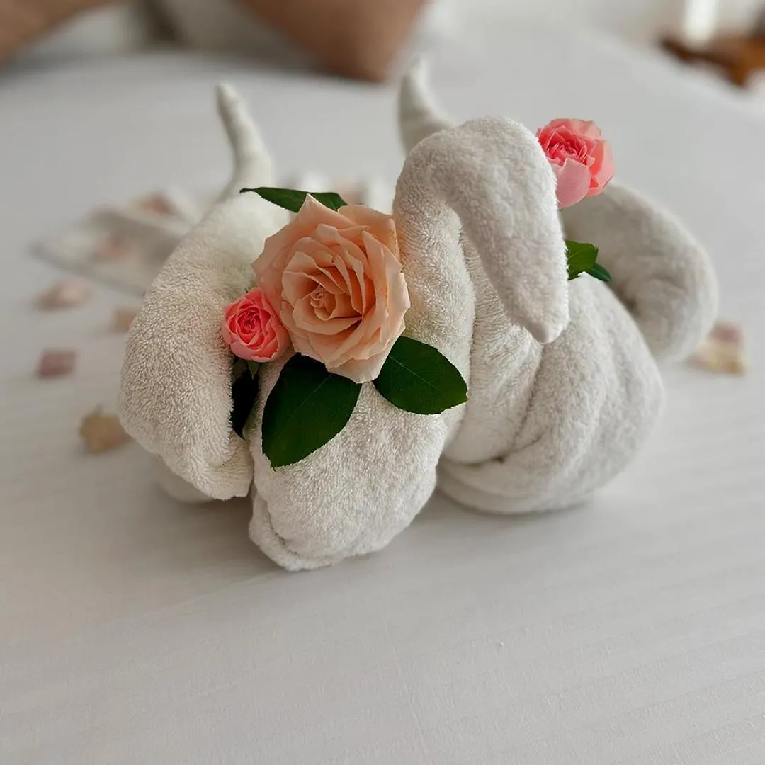Hotel International House Riviera Maya プレヤデルカーメン