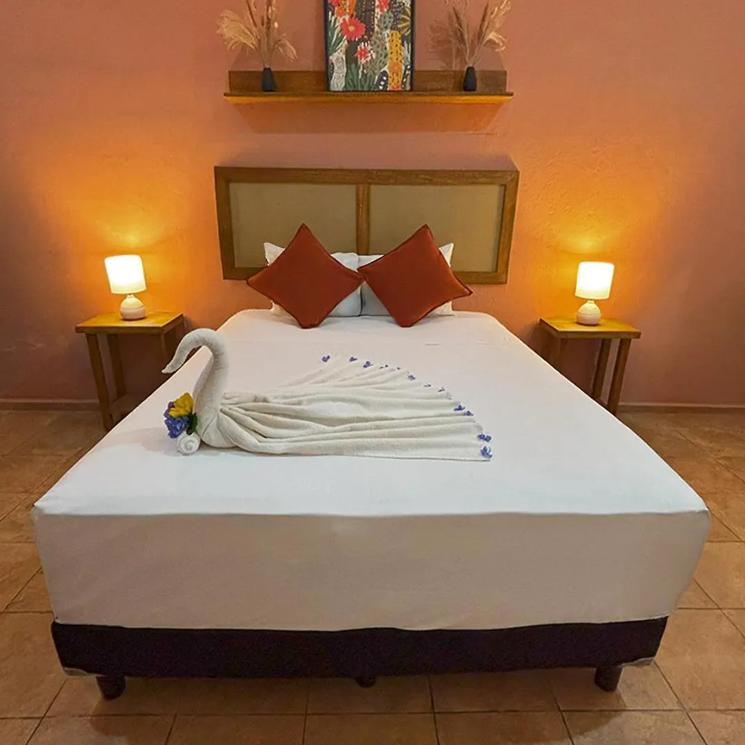Hotel International House Riviera Maya プレヤデルカーメン