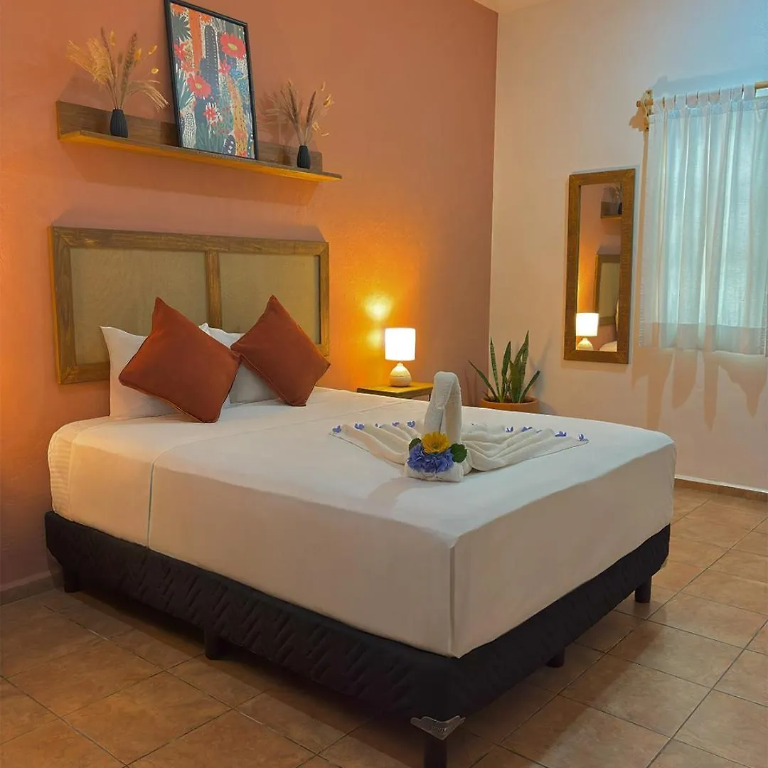 Hotel International House Riviera Maya プレヤデルカーメン 2*,