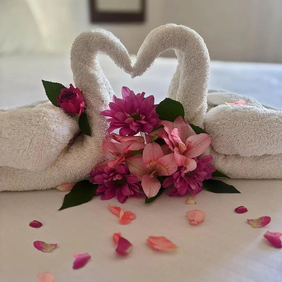 Hotel International House Riviera Maya プレヤデルカーメン