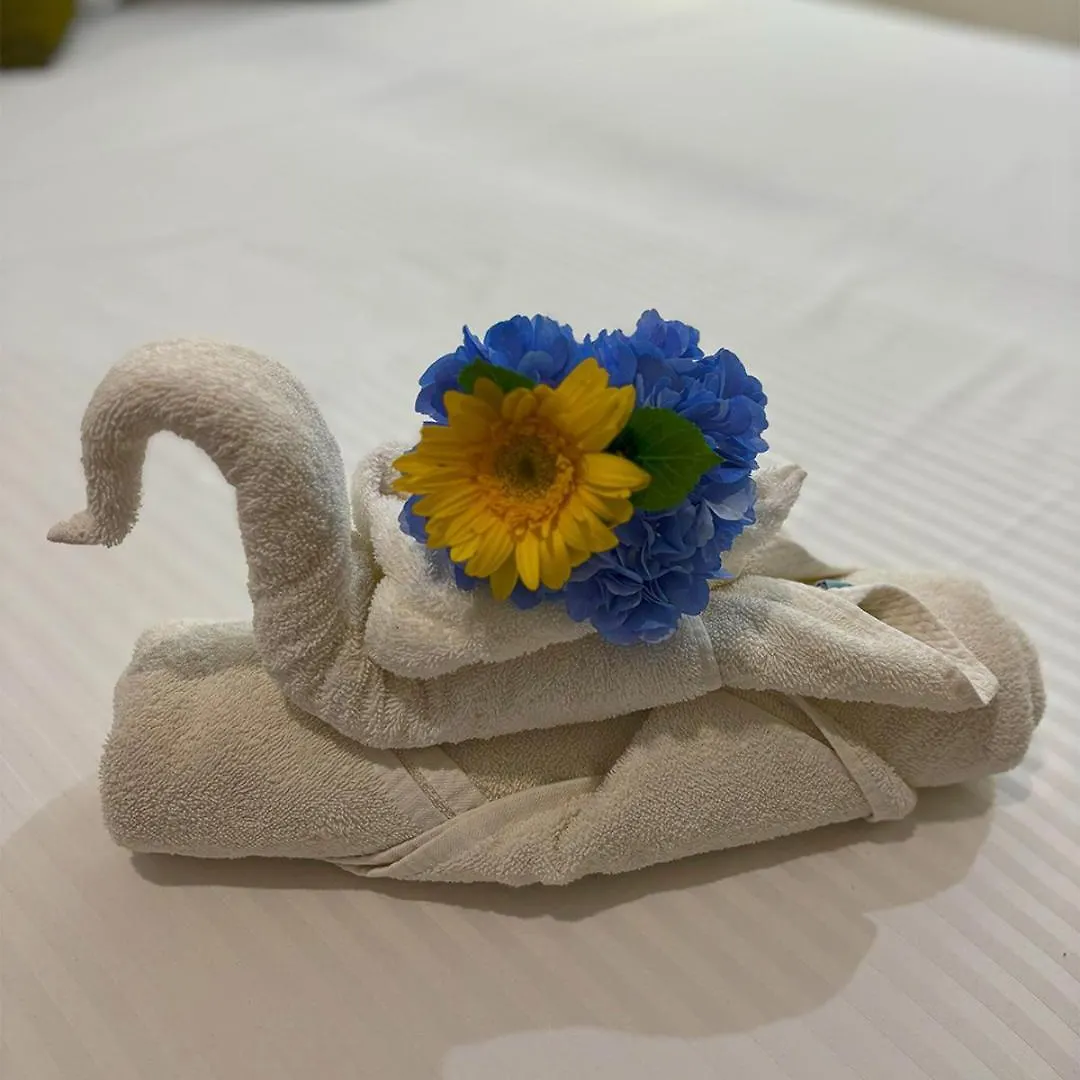 Hotel International House Riviera Maya プレヤデルカーメン