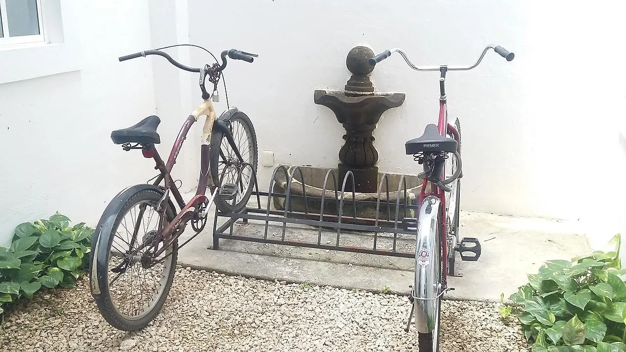 Hotel International House Riviera Maya プレヤデルカーメン