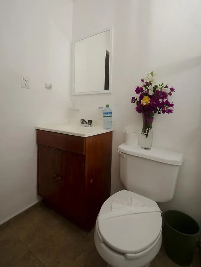 Hotel International House Riviera Maya プレヤデルカーメン